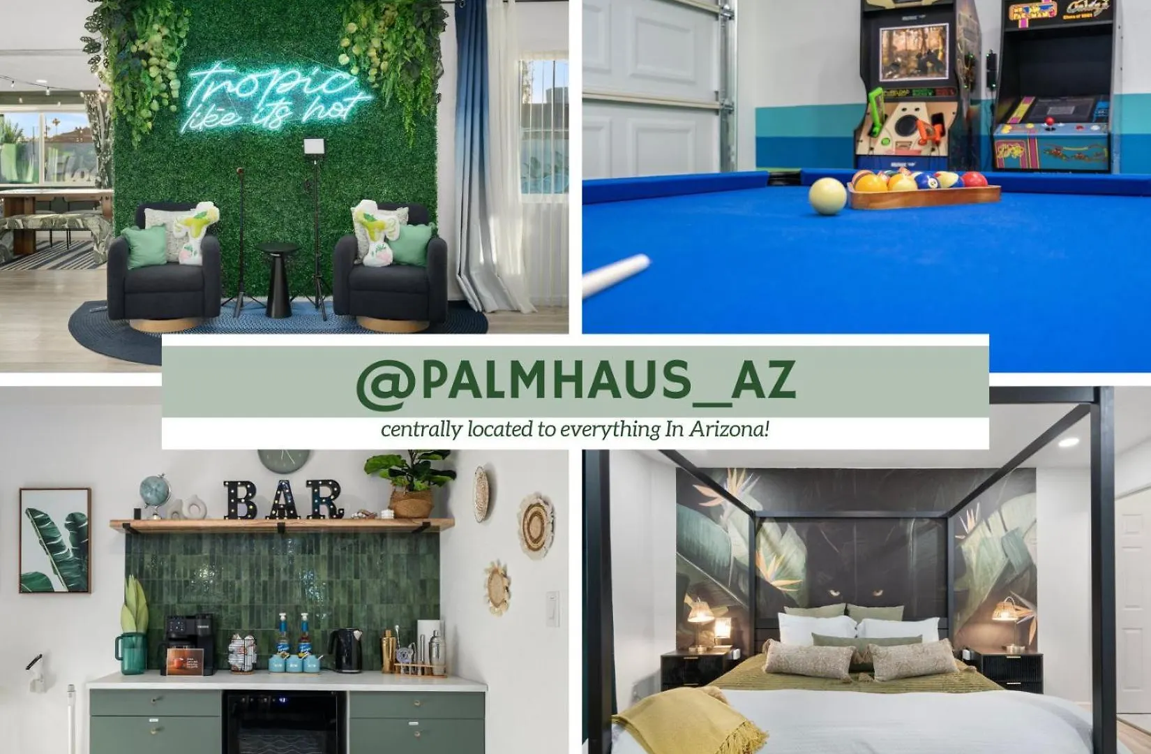 Palm Haus The Experience